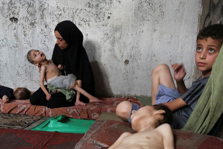 ফিলিস্তিন থেকে ভাইরাল সর্বশেষ নিউজ!