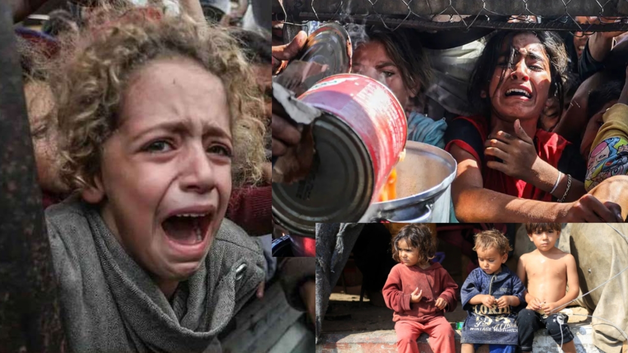 ফিলিস্তিন থেকে ভাইরাল সর্বশেষ নিউজ!