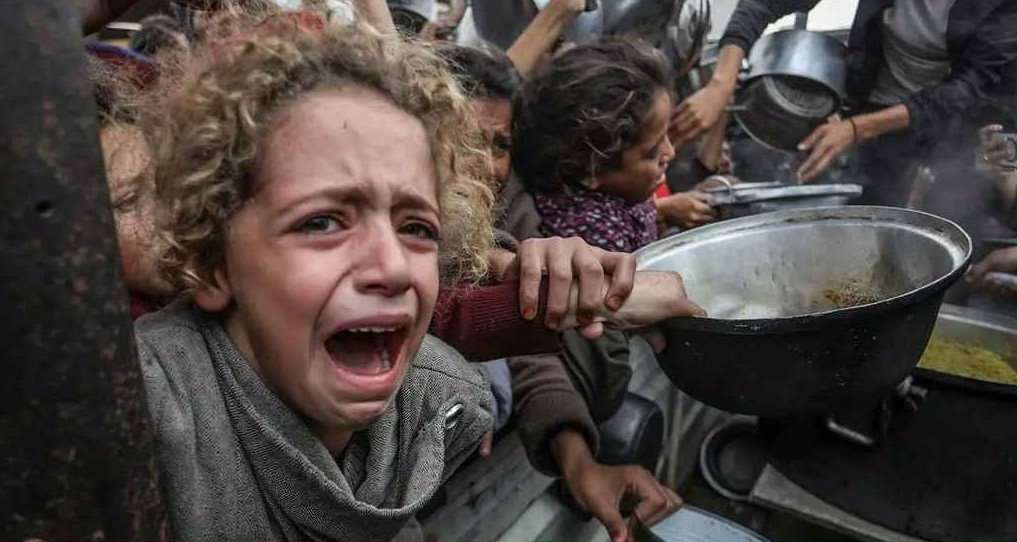 ফিলিস্তিন থেকে ভাইরাল সর্বশেষ নিউজ!