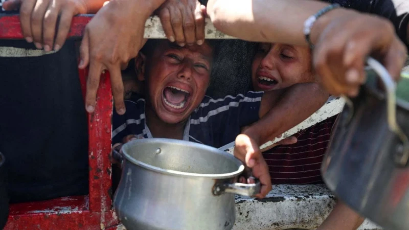 গাজায় দুর্ভিক্ষ স্বীকার করলো জাতিসংঘ | ভাইরাল ৩ আপডেট