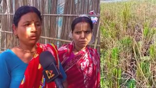 হিন্দুদের জমির ধান কেটে নিলো বিএনপি নেতা